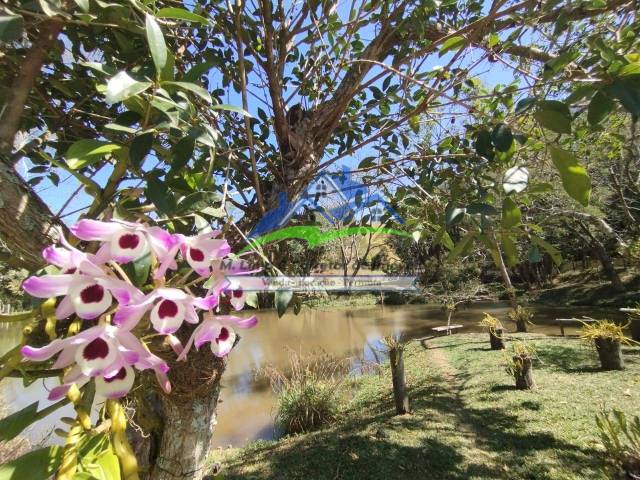 #55 - Sítio para Venda em Nazaré Paulista - SP - 1