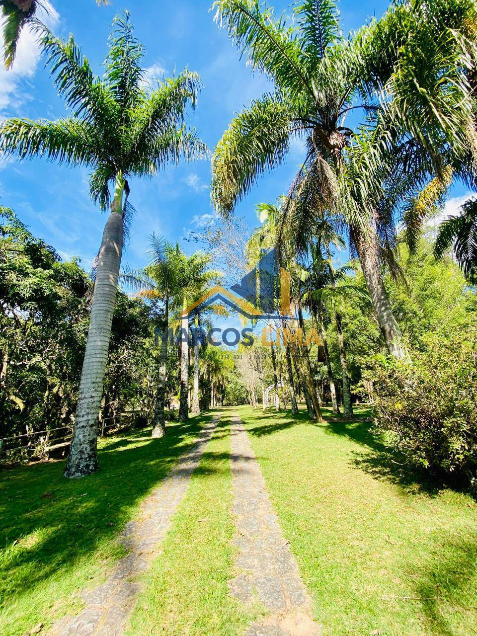 Terreno, 26 hectares - Foto 41
