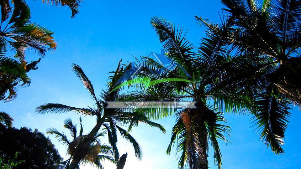 Chácara, 2 quartos, 1303 m² - Foto 5