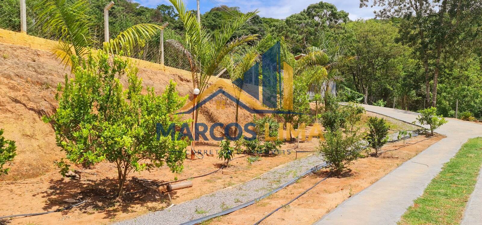 Sítio, 3 quartos, 4200 m² - Foto 14