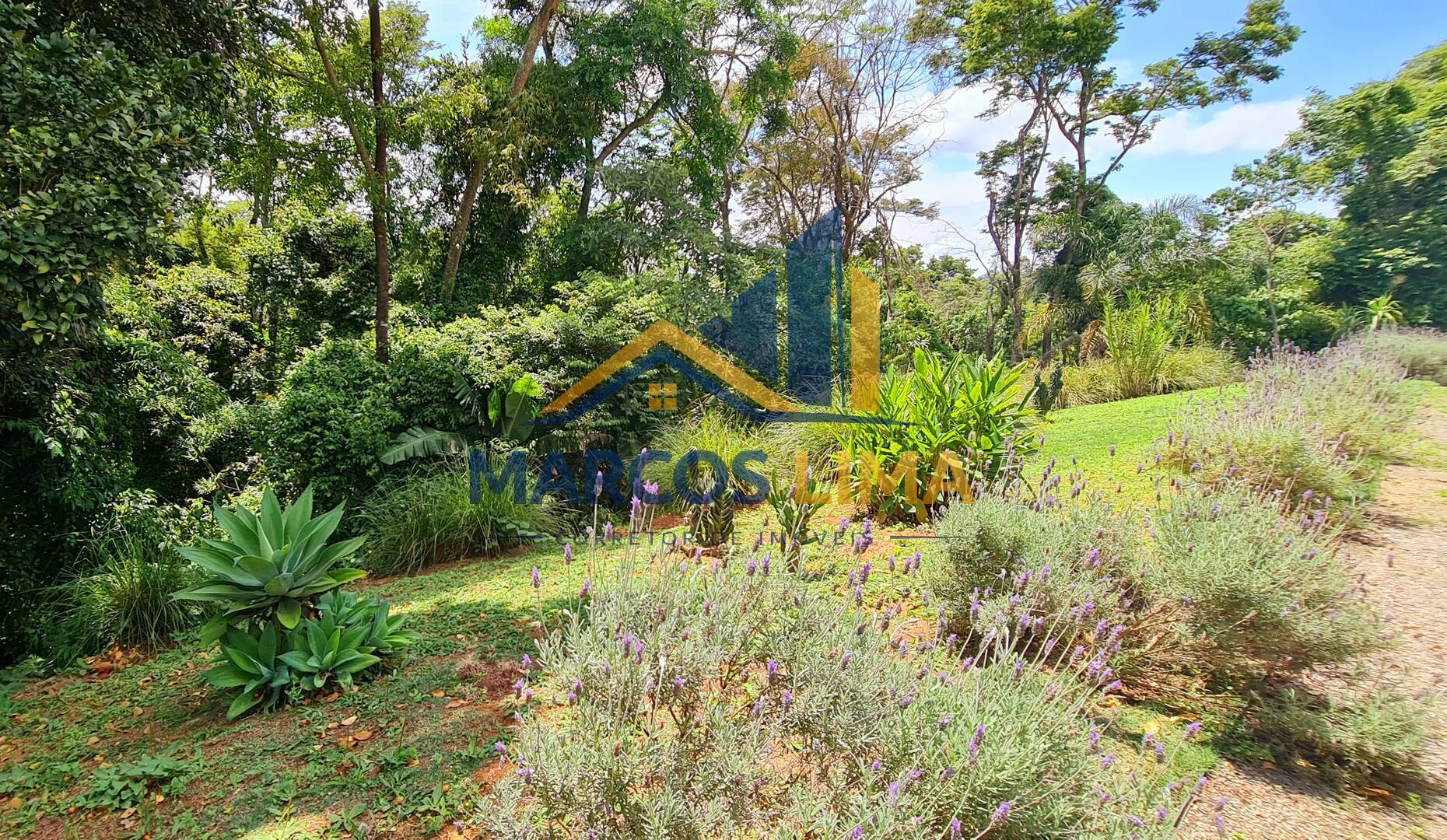 Sítio, 3 quartos, 4200 m² - Foto 15