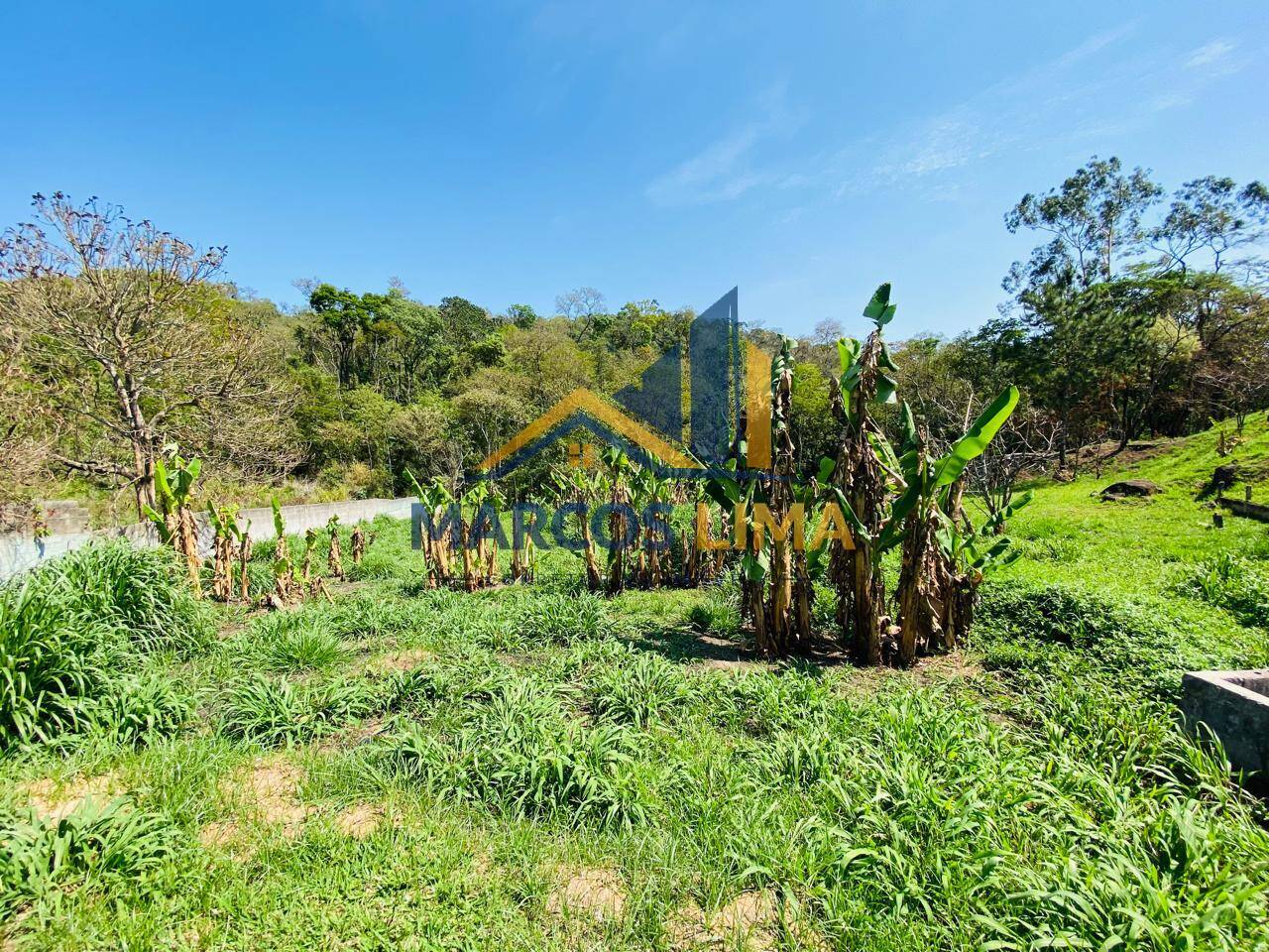 Sítio, 6 quartos, 2 hectares - Foto 37