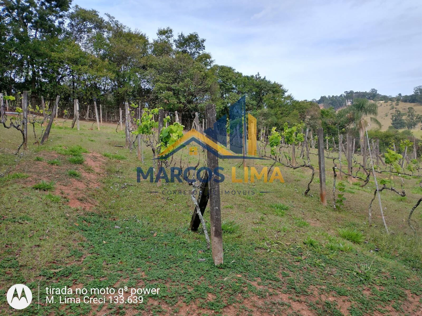Sítio, 3 quartos, 5 hectares - Foto 29