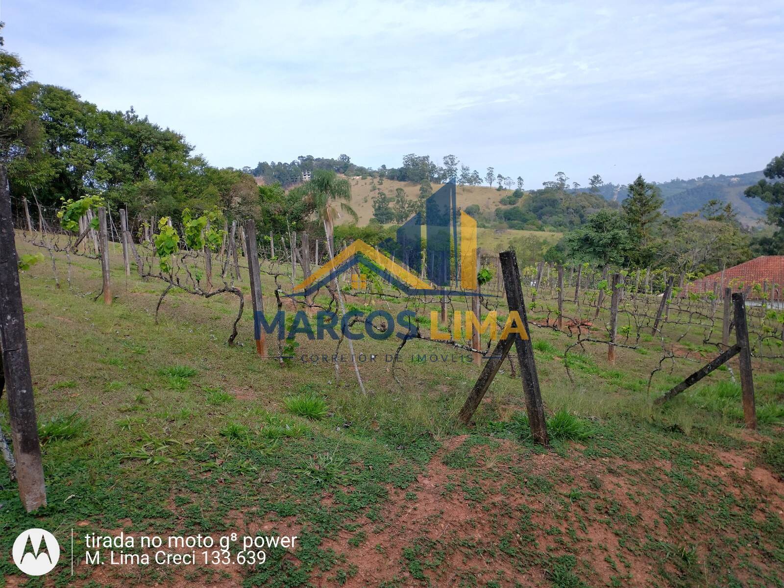 Sítio, 3 quartos, 5 hectares - Foto 31