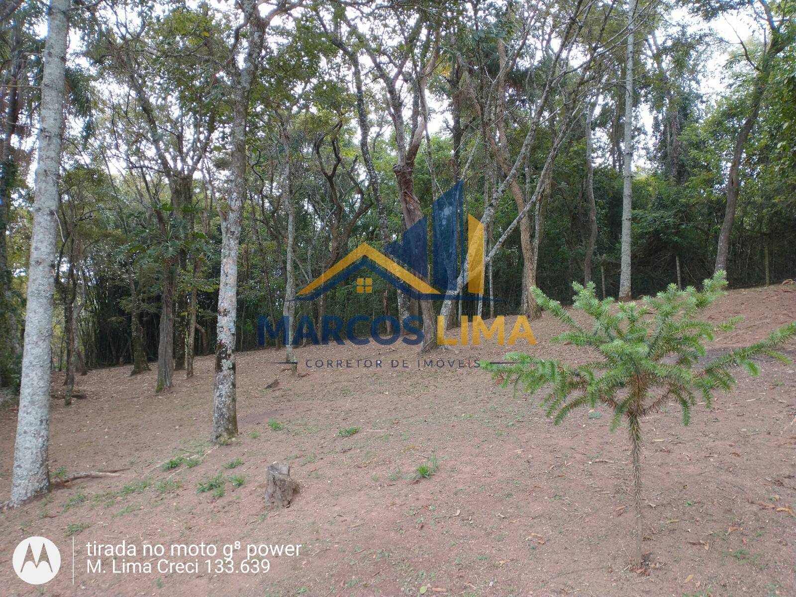 Sítio, 3 quartos, 5 hectares - Foto 37