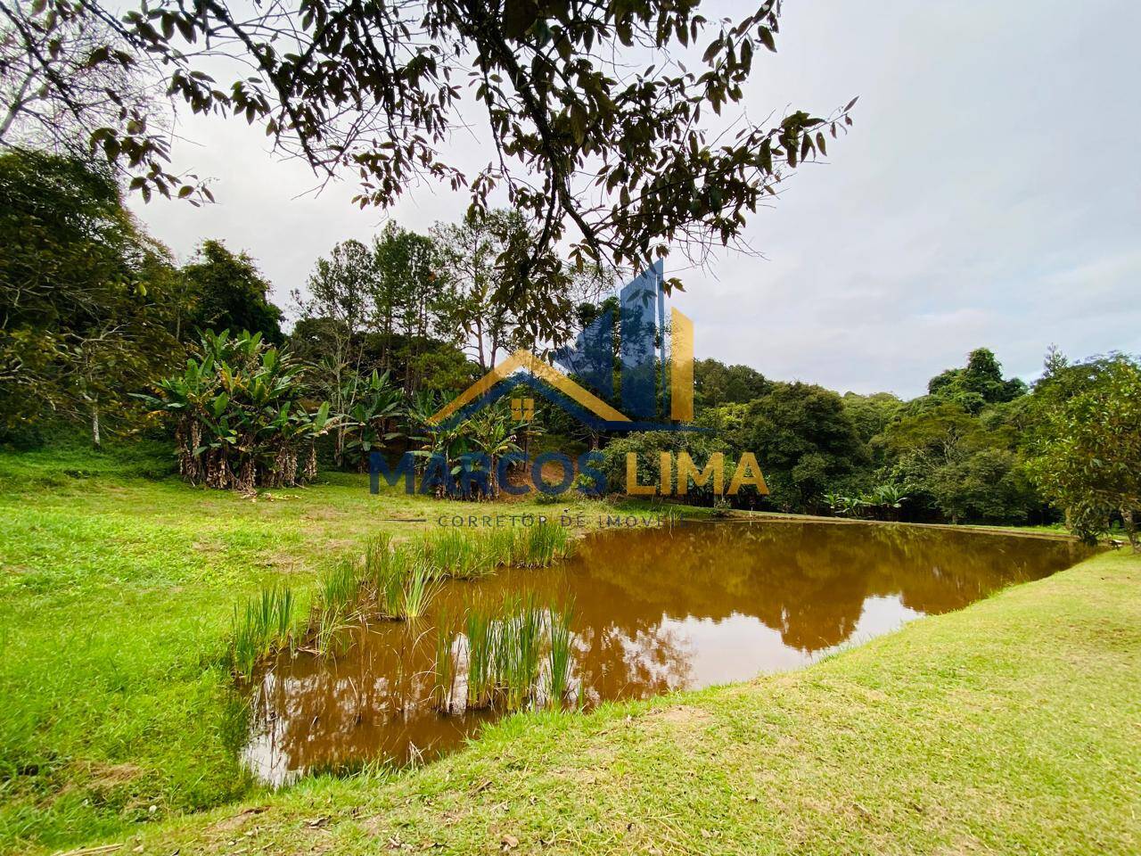 Sítio, 3 quartos, 4 hectares - Foto 33
