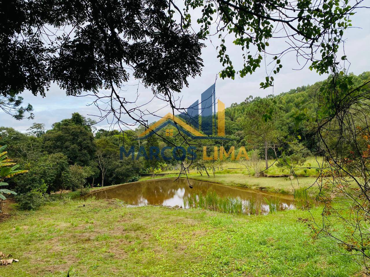 Sítio, 3 quartos, 4 hectares - Foto 34