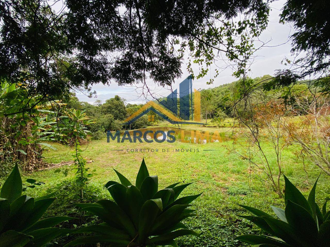 Sítio, 3 quartos, 4 hectares - Foto 35