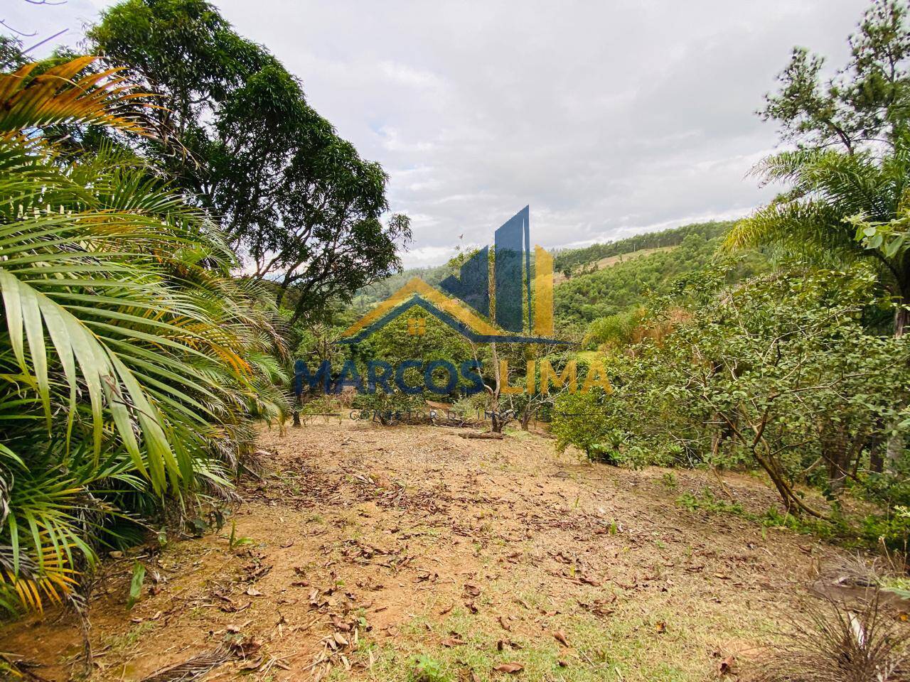 Sítio, 3 quartos, 4 hectares - Foto 36