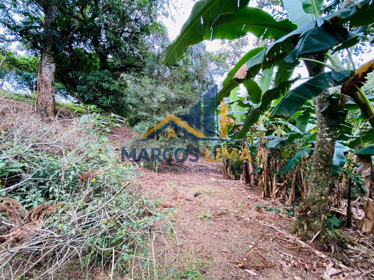 Sítio, 3 quartos, 4 hectares - Foto 37