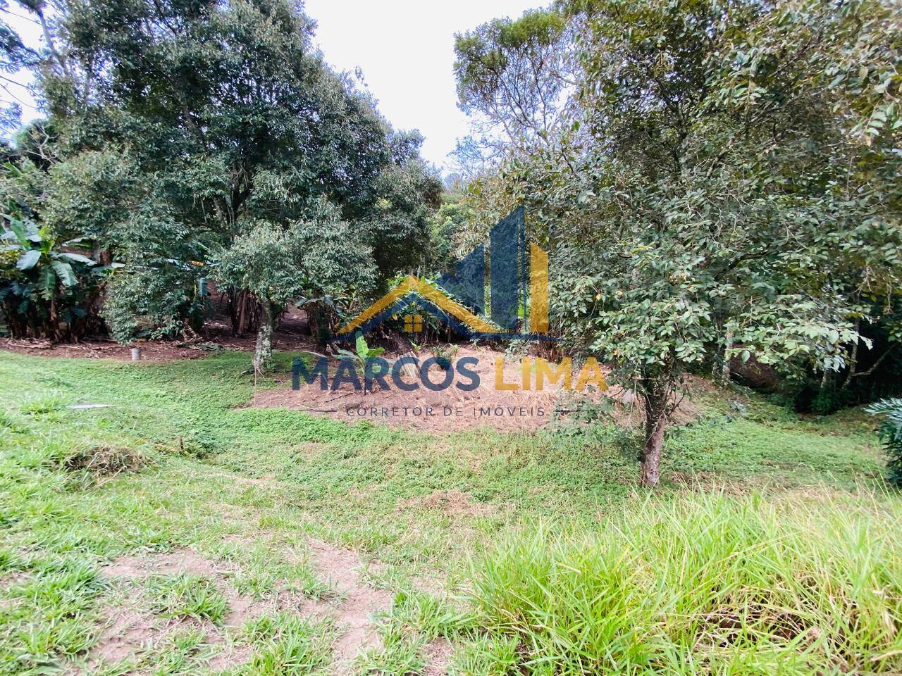 Sítio, 3 quartos, 4 hectares - Foto 38