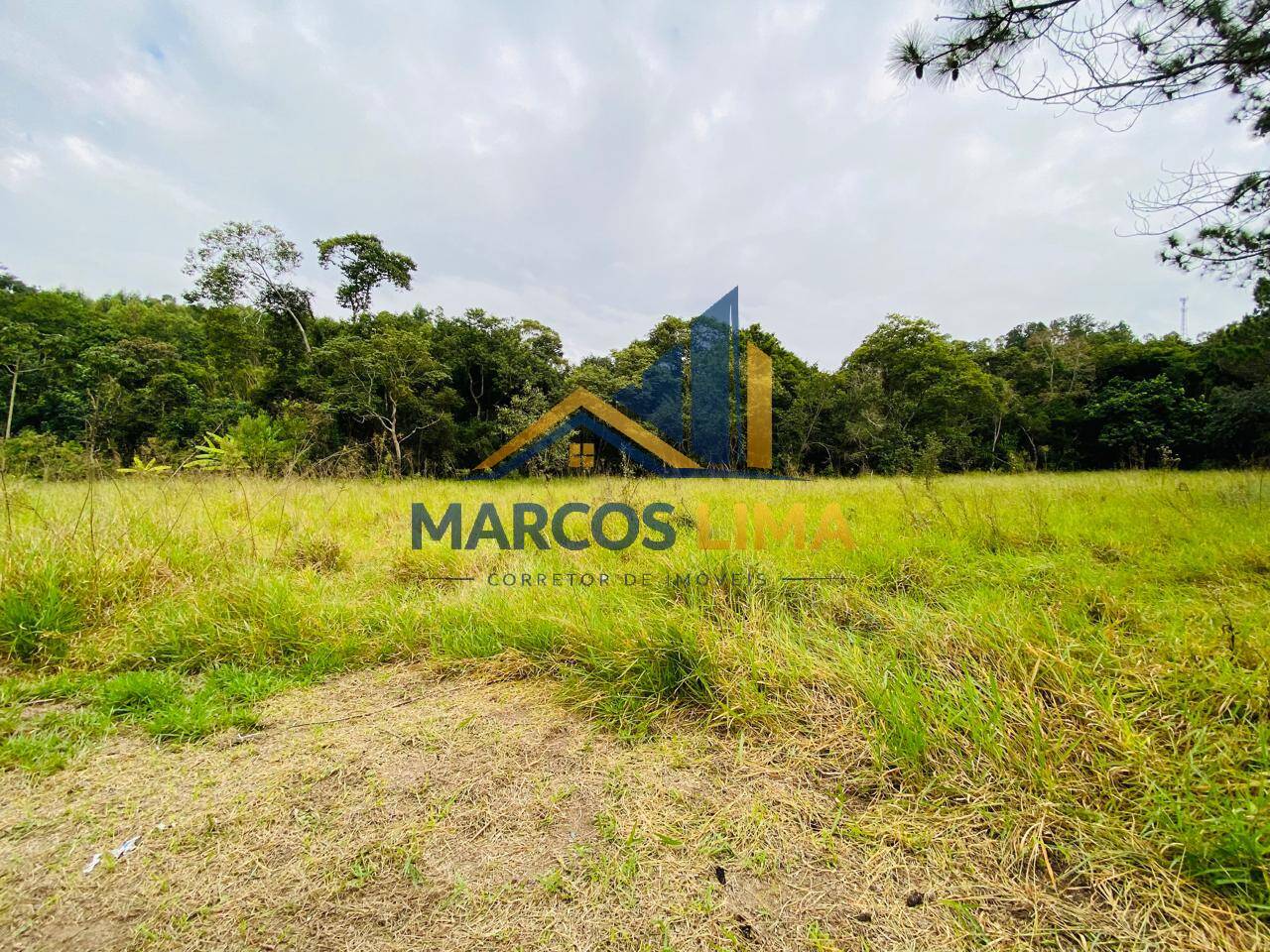 Sítio, 3 quartos, 4 hectares - Foto 40