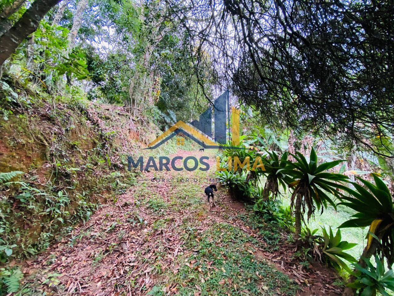 Sítio, 3 quartos, 4 hectares - Foto 41