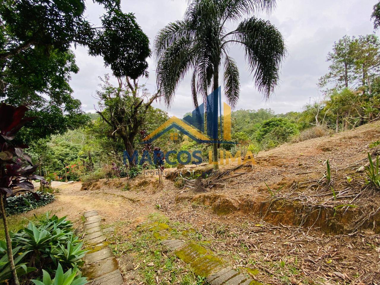 Sítio, 3 quartos, 4 hectares - Foto 42