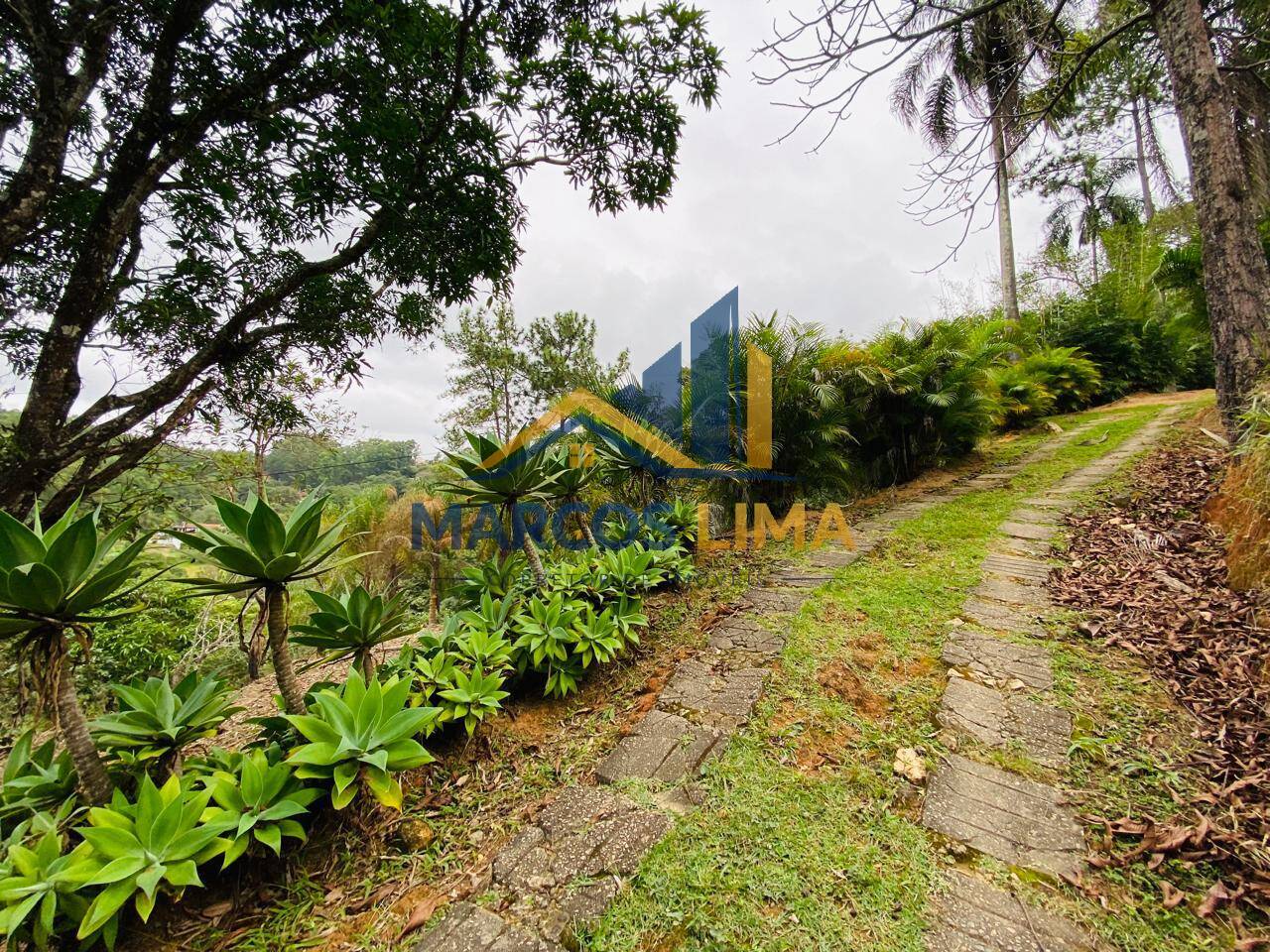 Sítio, 3 quartos, 4 hectares - Foto 44