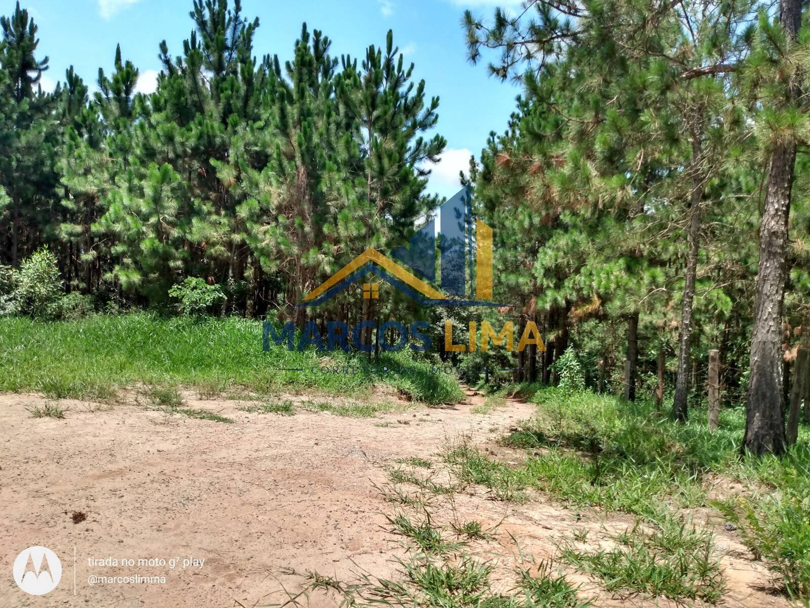 Terreno, 22 hectares - Foto 12