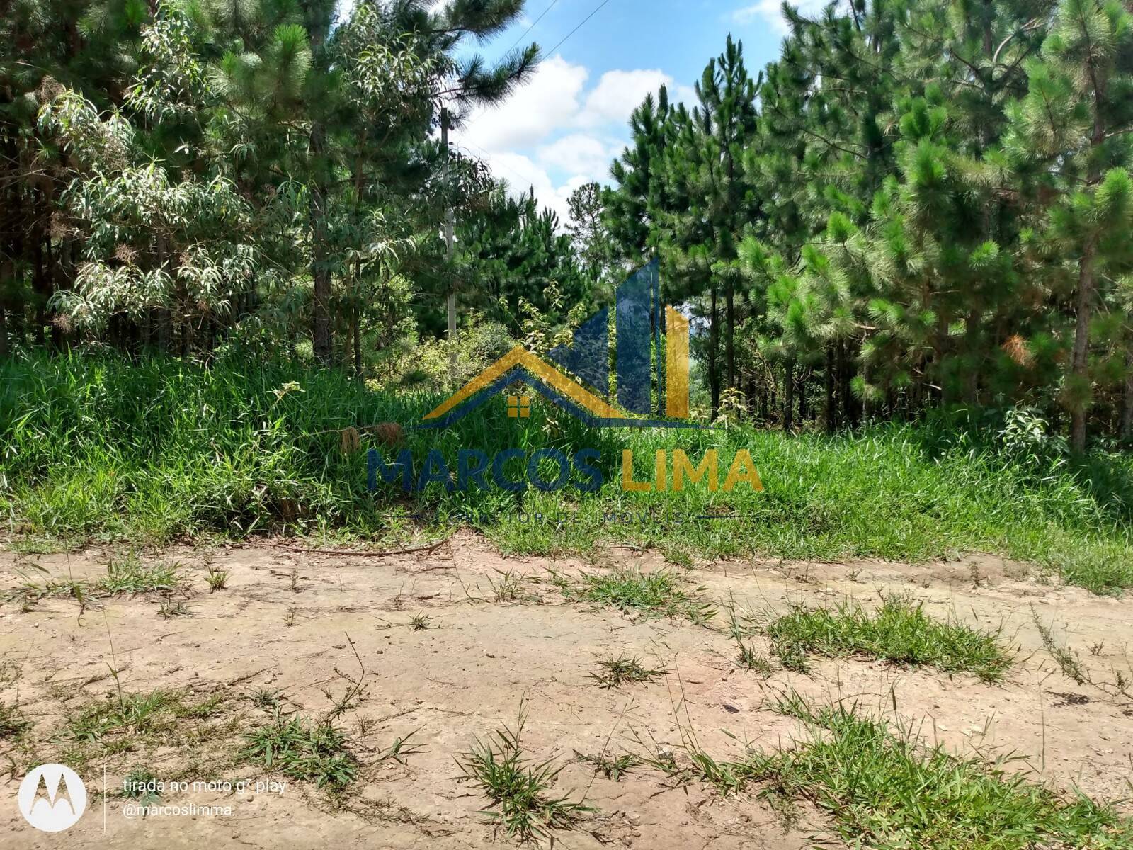 Terreno, 22 hectares - Foto 13