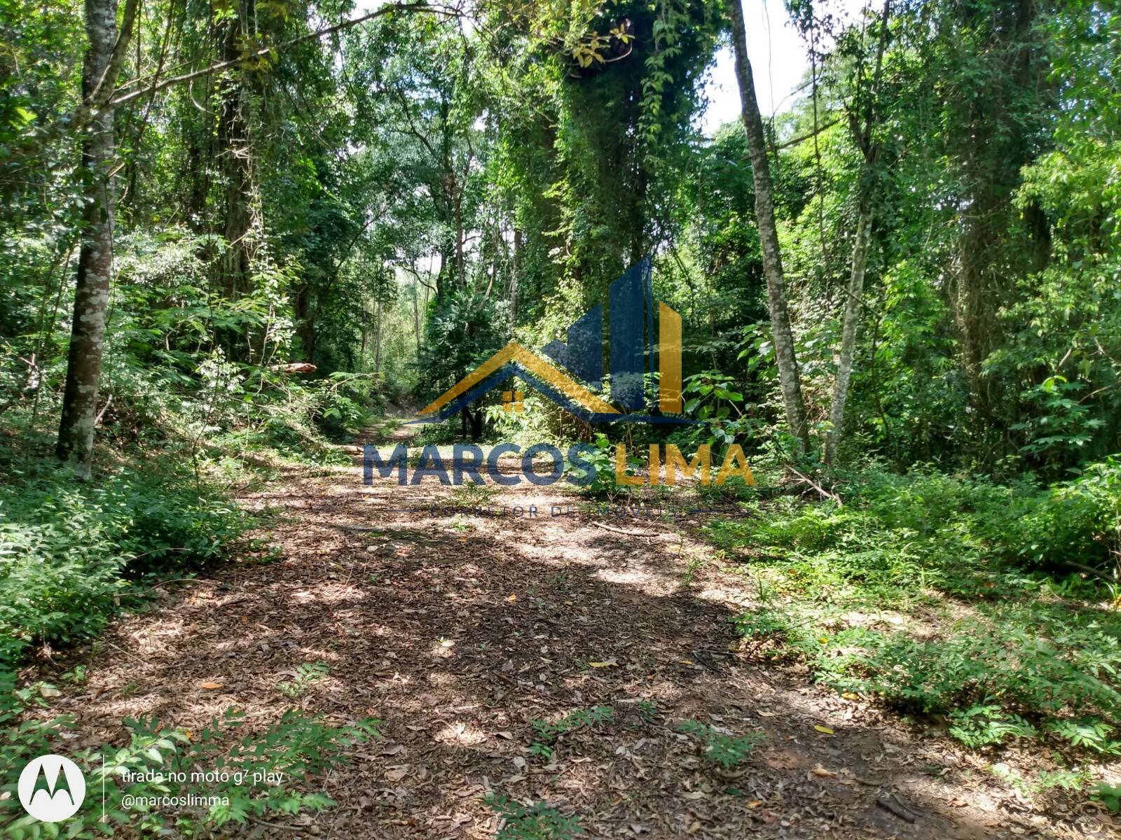 Terreno, 22 hectares - Foto 15