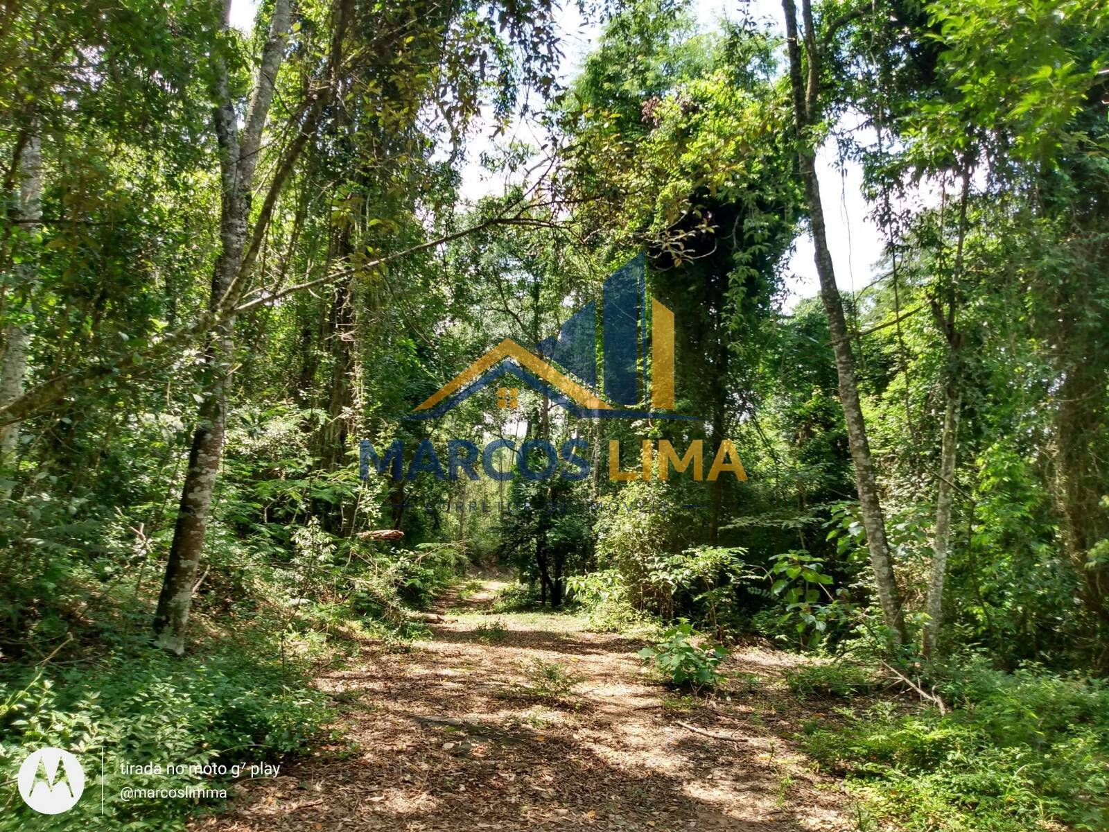 Terreno, 22 hectares - Foto 16