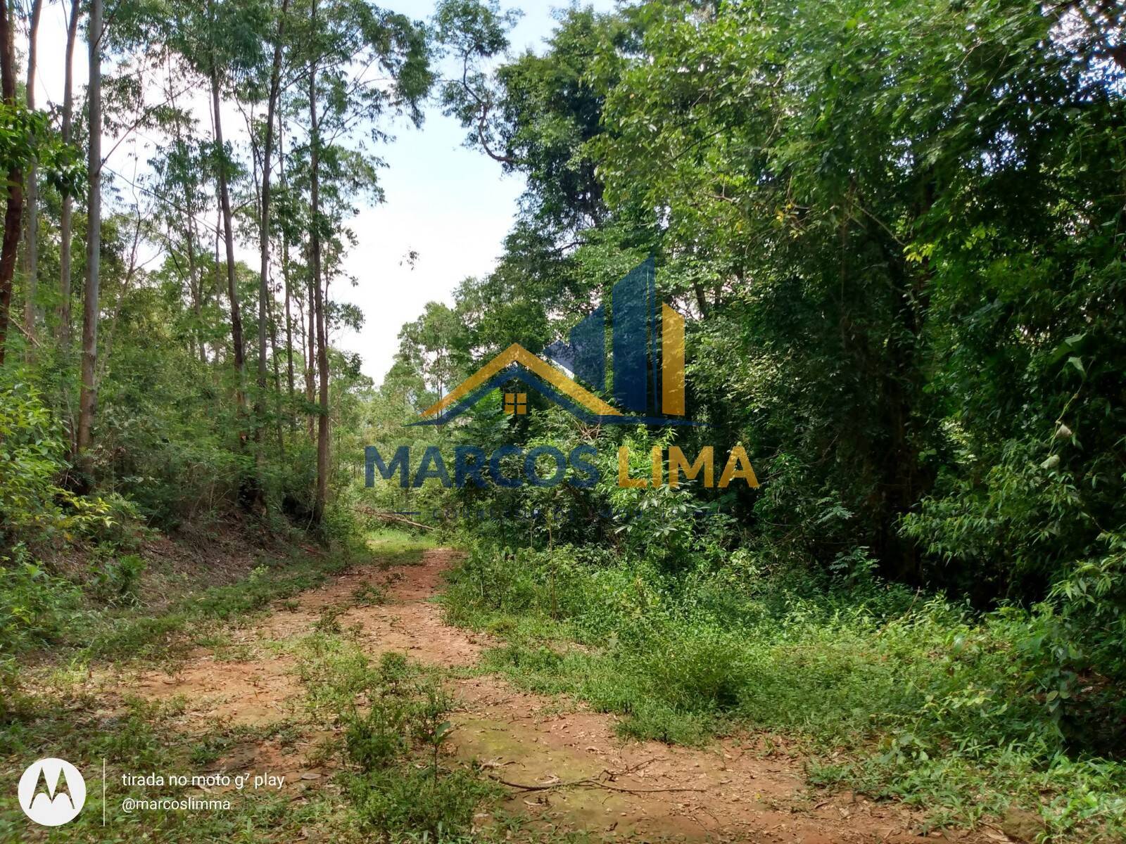 Terreno, 22 hectares - Foto 17