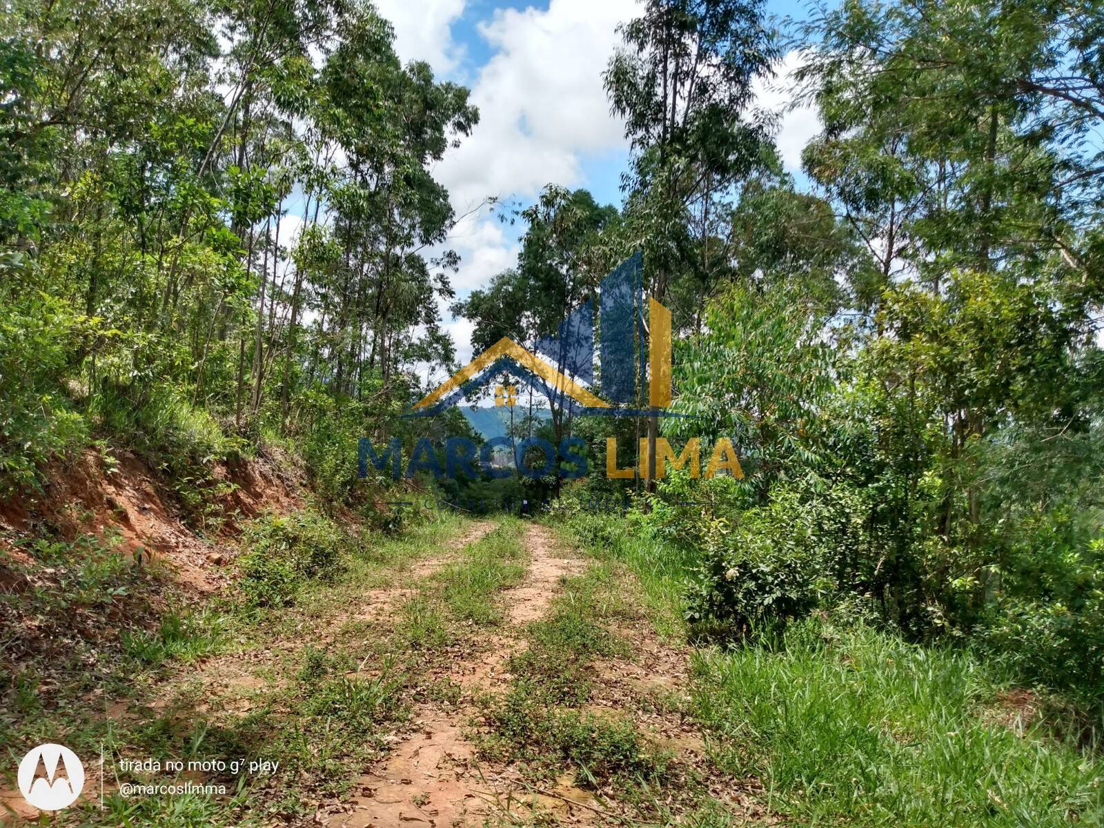 Terreno, 22 hectares - Foto 18