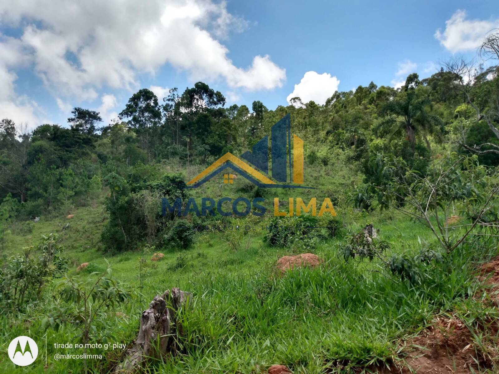 Terreno, 22 hectares - Foto 8