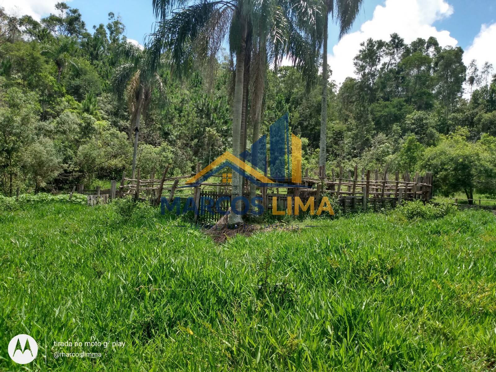 Terreno, 22 hectares - Foto 7